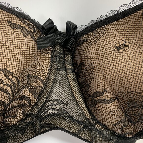 Lavinia Lingerie Bra 40DD Plus Size Sexy Lace Overlay Underwire Cups New LL0218 - Picture 3 of 11